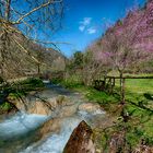 Una passeggiata nel parco