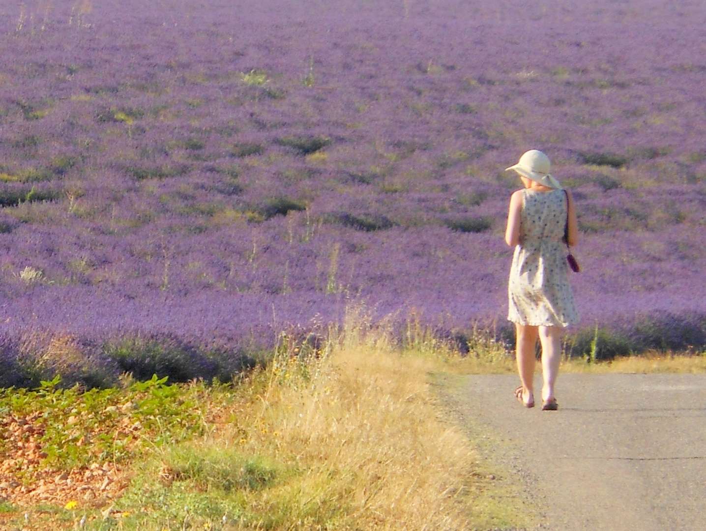 una passeggiata nel viola