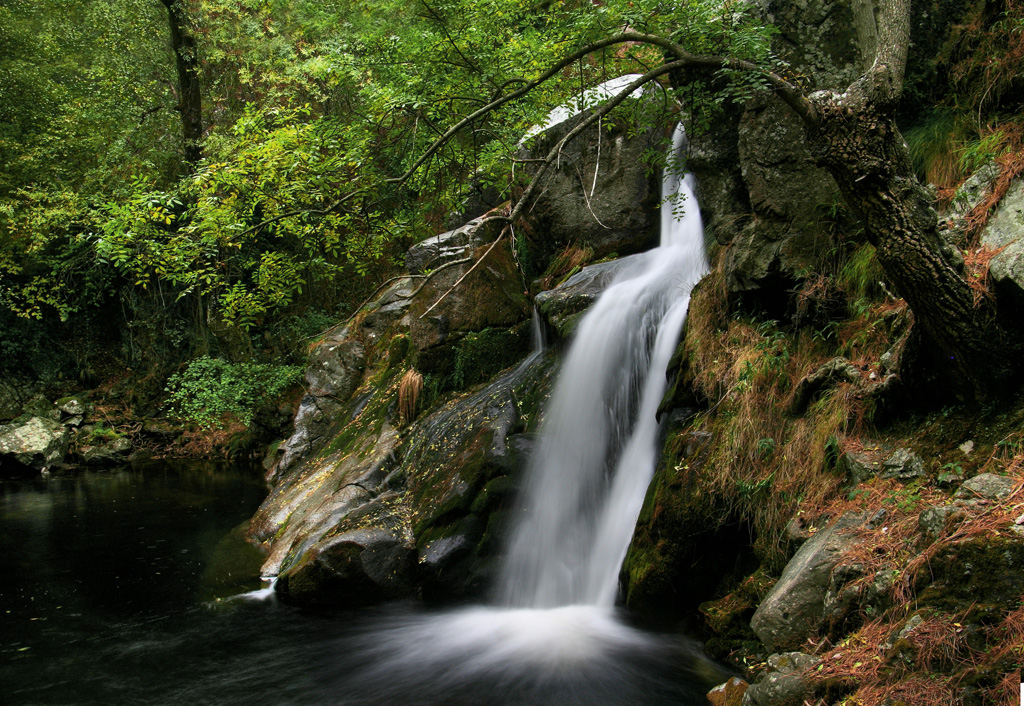 Una pequeña cascada