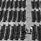 Una piacevole giornata a Piazza Maggiore - Bologna -