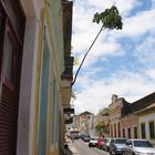 una "pianta" sul balcone