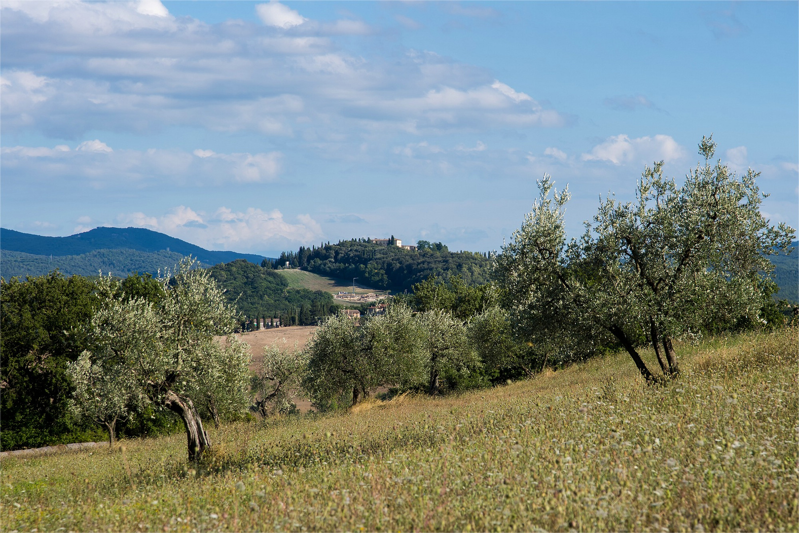 Una piccola panoramica della Toscana