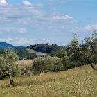 Una piccola panoramica della Toscana