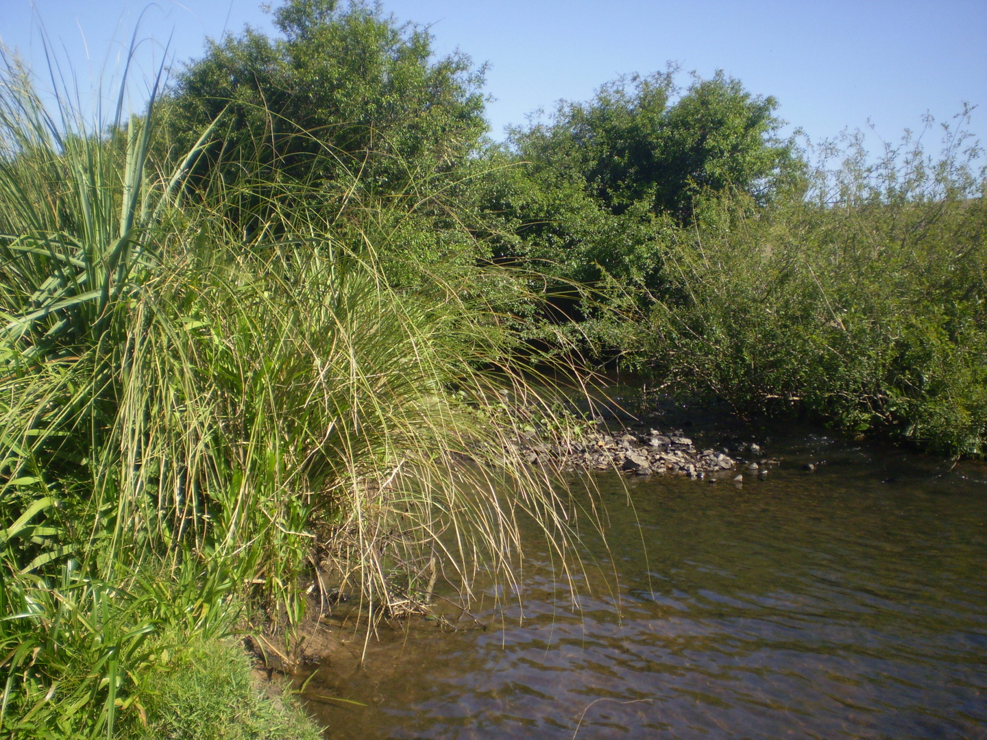 UNA PLAYITA DEL RIO YI