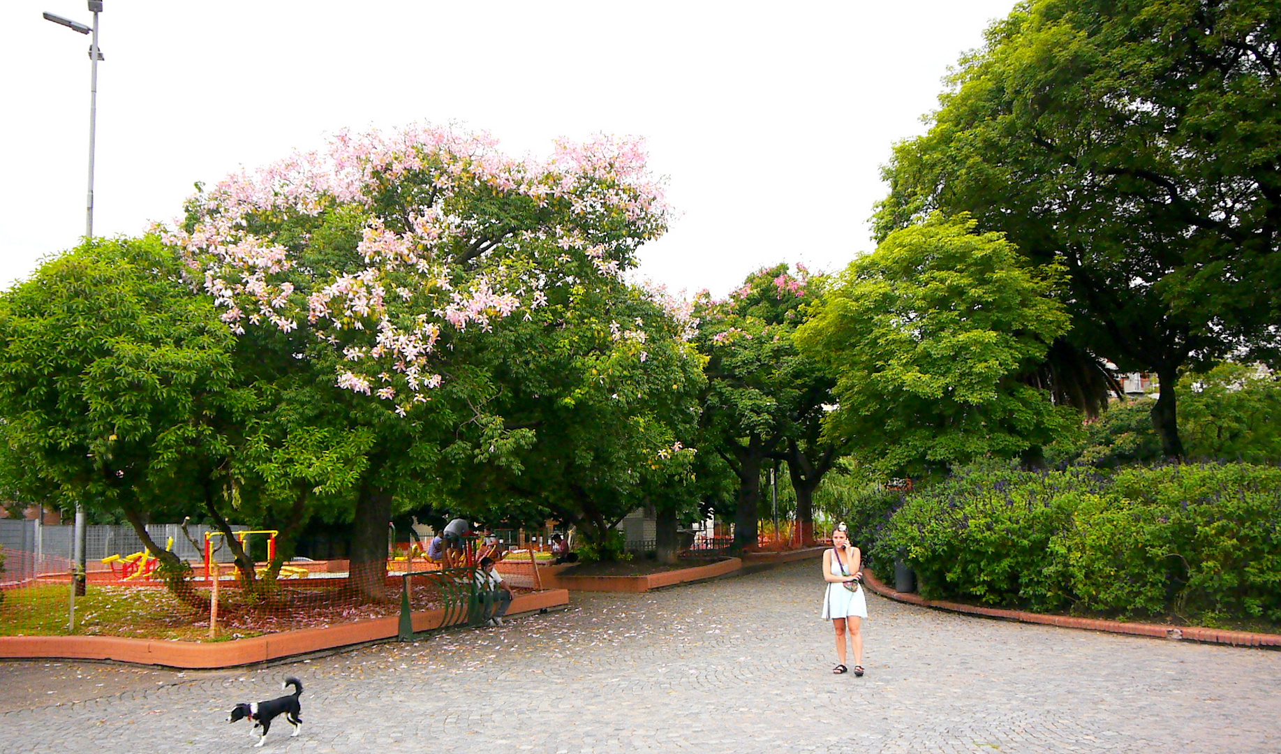 UNA PLAZA DE BUENOS AIRES