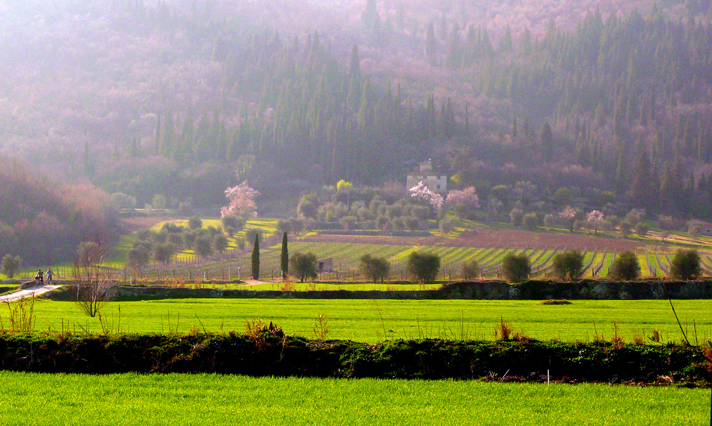 UNA PRIMAVERA PIOVOSA