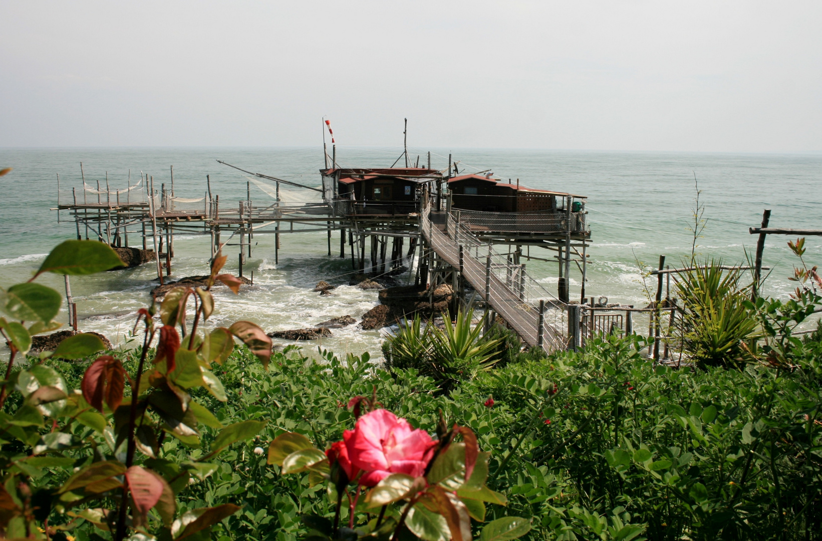 una rosa al mare