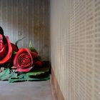 Una rosa nel silenzio