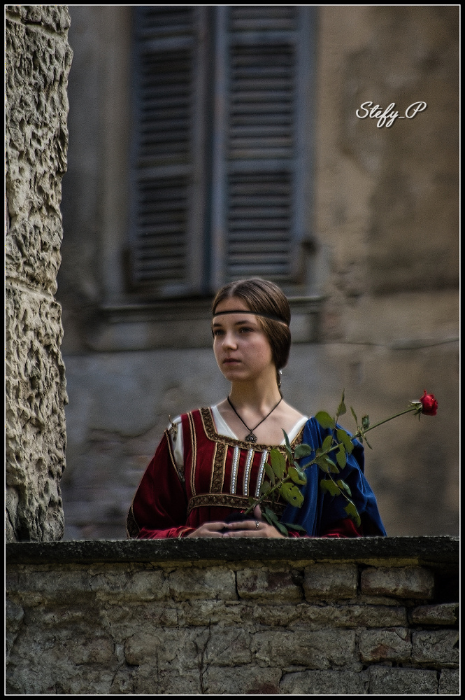 Una rosa per Cecilia (reloaded)