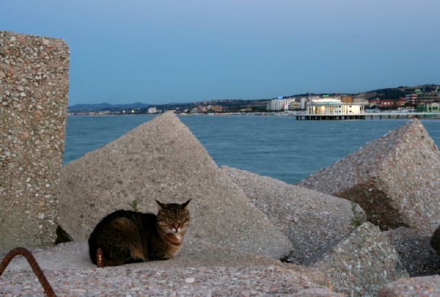 Una Rotonda sul Mare