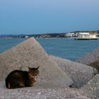 Una Rotonda sul Mare