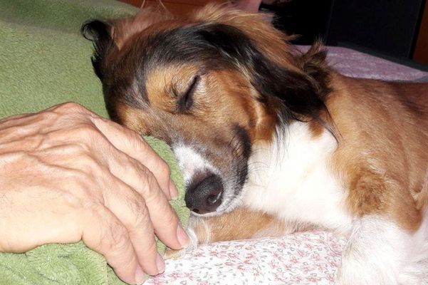 una sana dormita... insieme