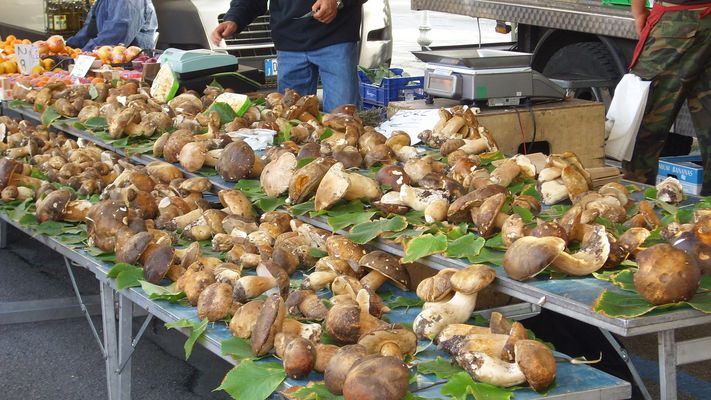 Una scelta difficile