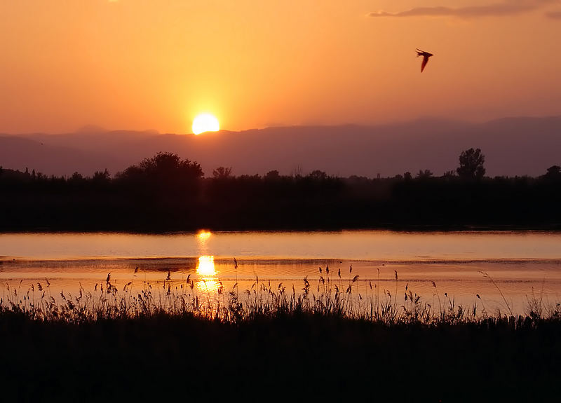 Una sera al lago Oceano