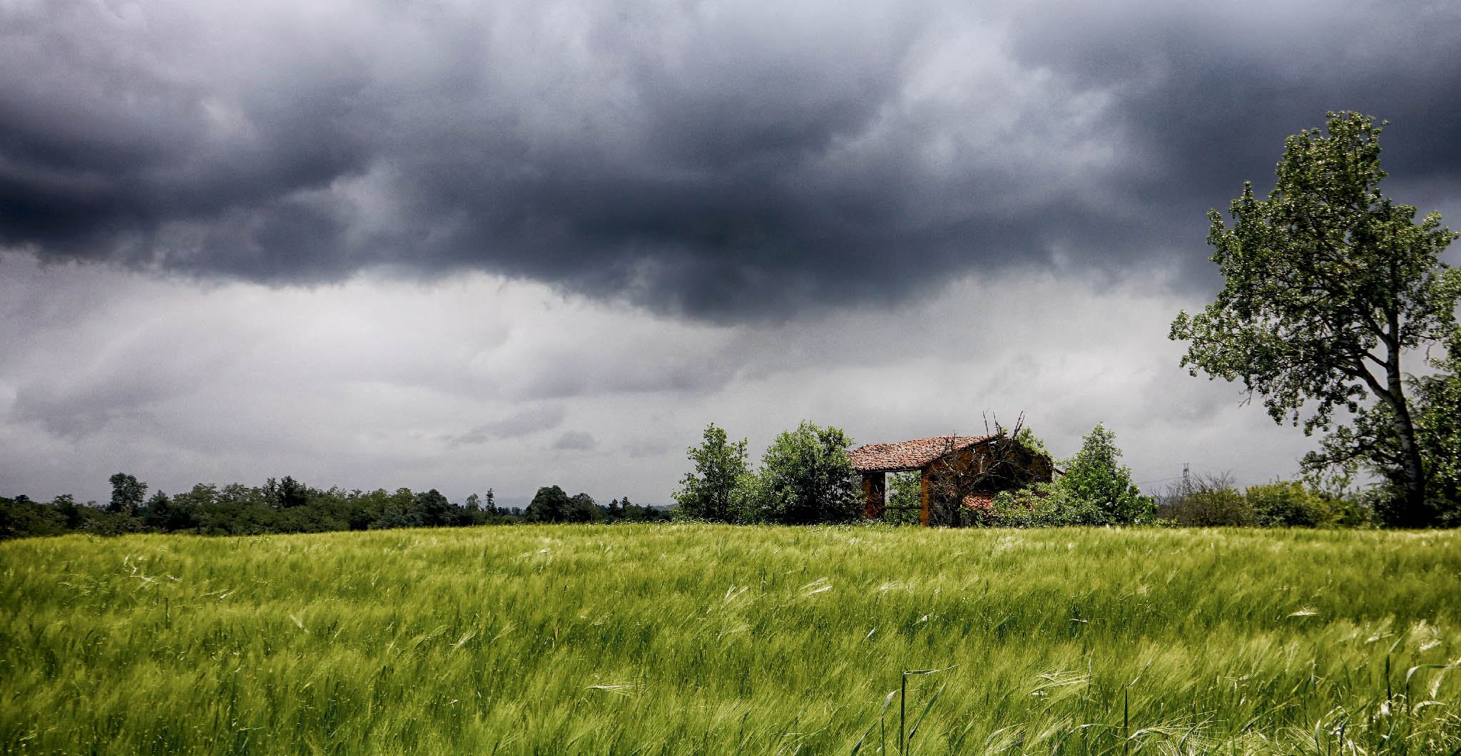 una solitudine di primavera