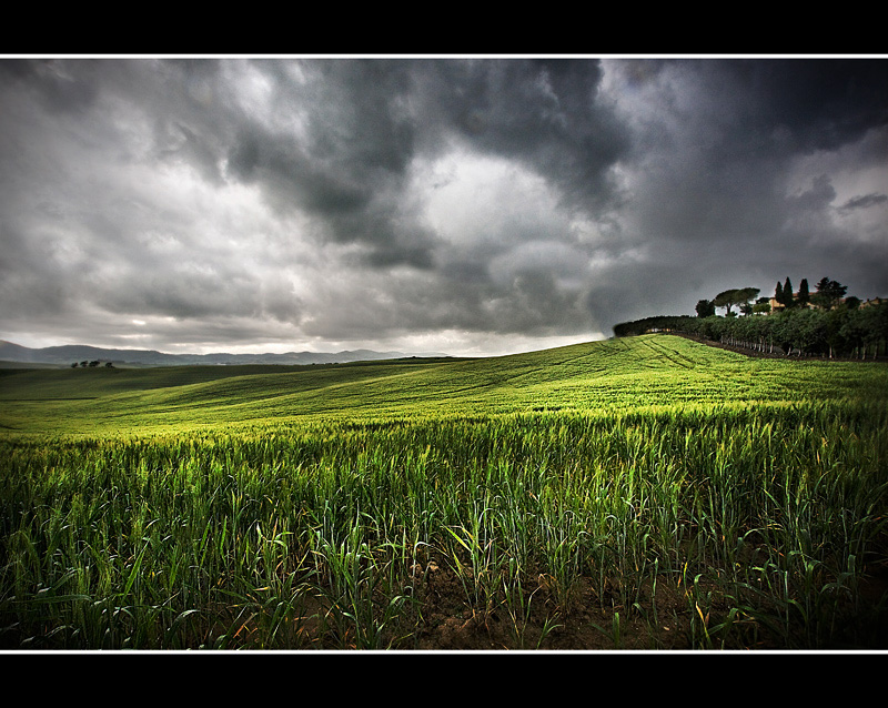 una strana primavera