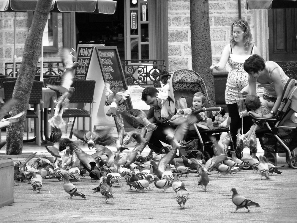 Una tarde dando de comer a las palomas