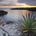 Una tarde en Cala Ferrera