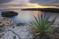 Una tarde en Cala Ferrera