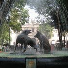 UNA TARDE EN COYOACAN...