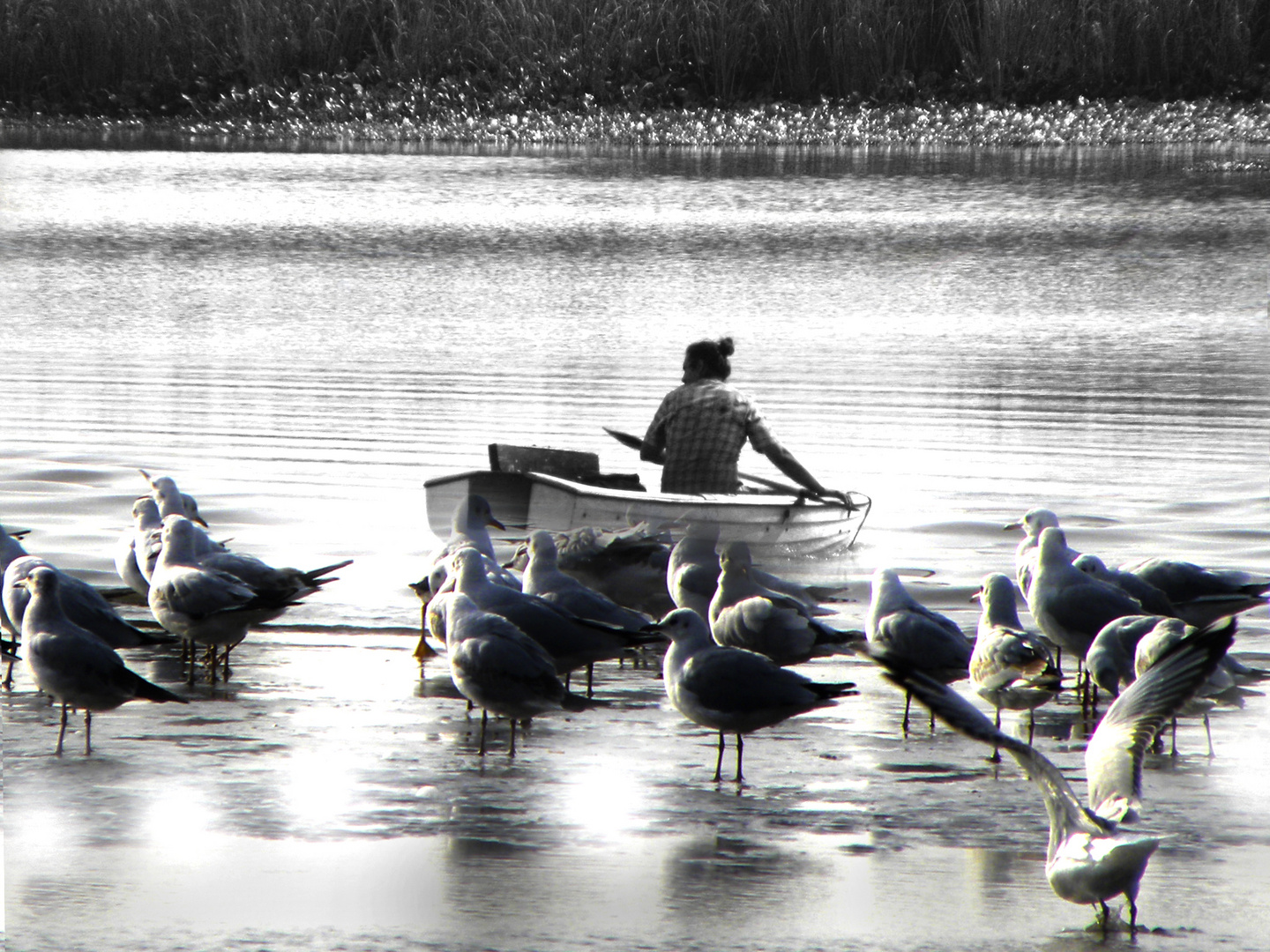 Una tarde en el rio