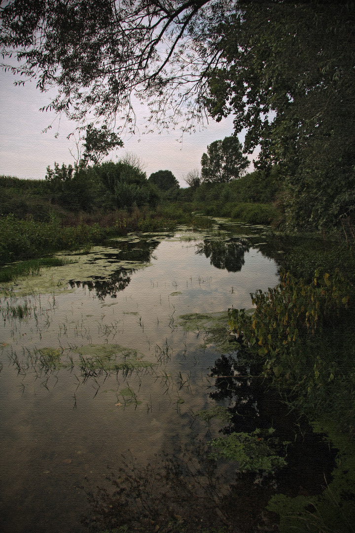 Una tarde paseaba