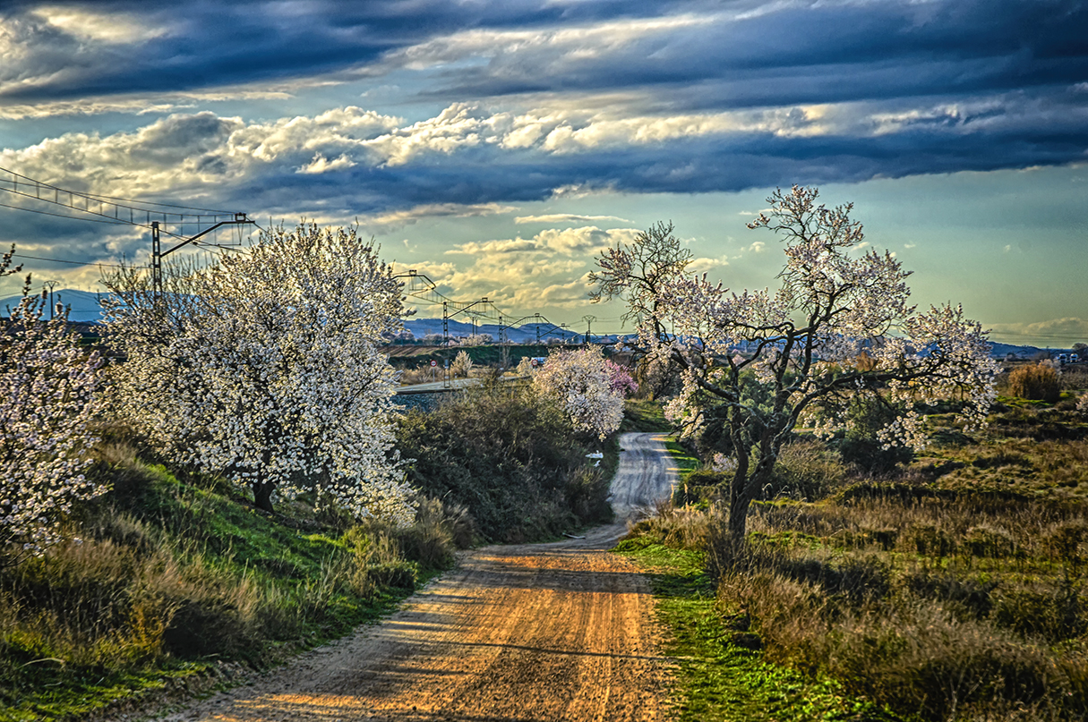 Una tarde Primaveral