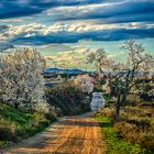 Una tarde Primaveral