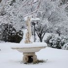 una venere in bianco