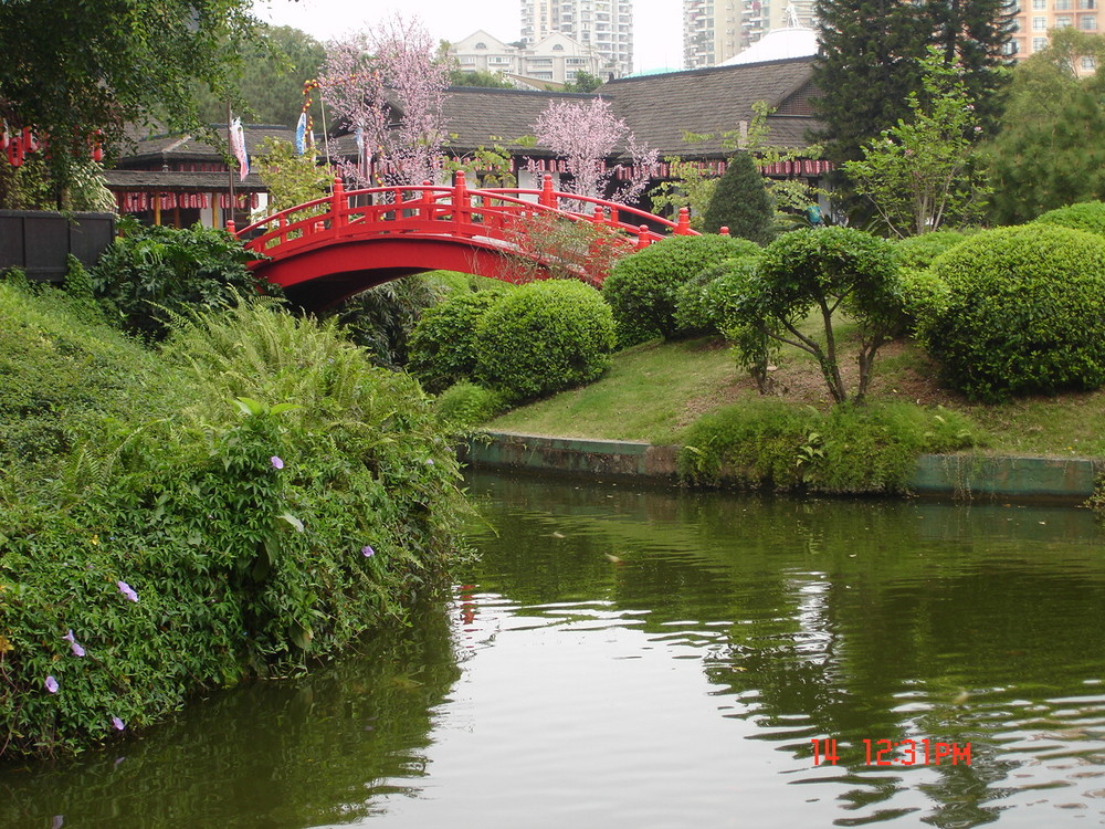 Una Ventana al mundo , Shenzen , China