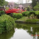 Una Ventana al mundo , Shenzen , China