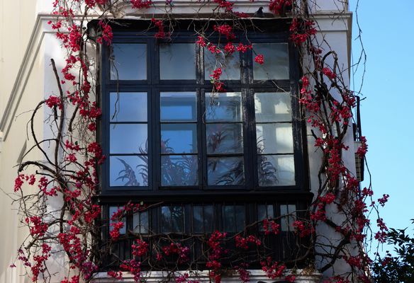 Una Ventana Engalonada 
