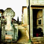 Una visita al cimitero, Lamezia Terme (Cz) settermbre 2014