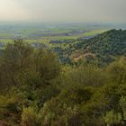 UNA VISTA DESDE LA CUESTA DEL REVENTÓN