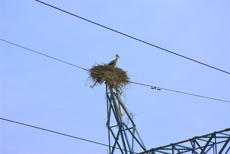 Una Vita Ben Equilibrata