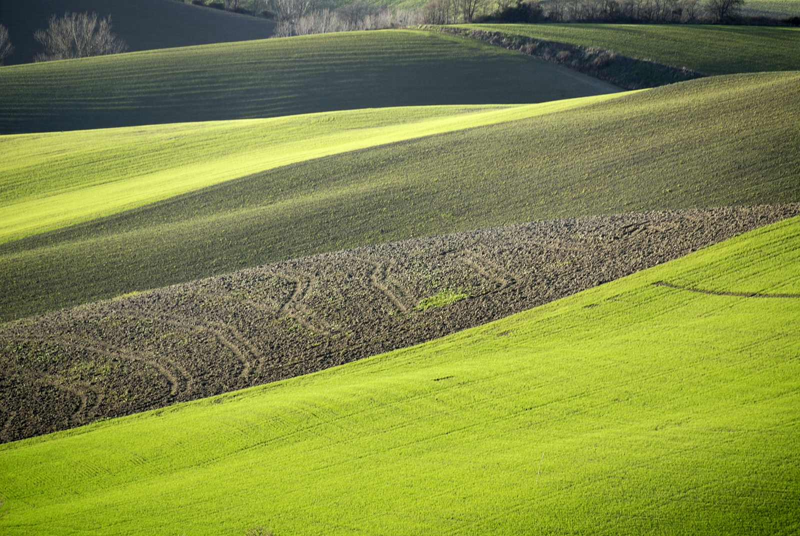 Un'altro scorcio di Toscana