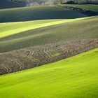 Un'altro scorcio di Toscana