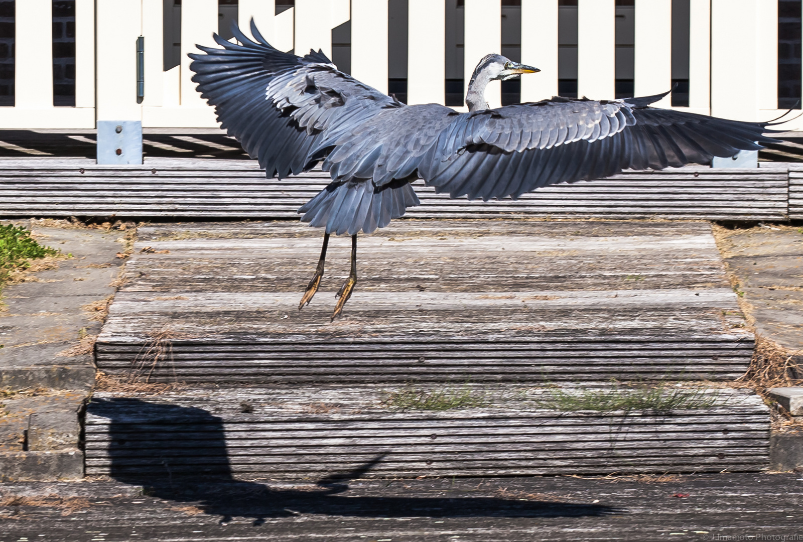 Unannounced landing 