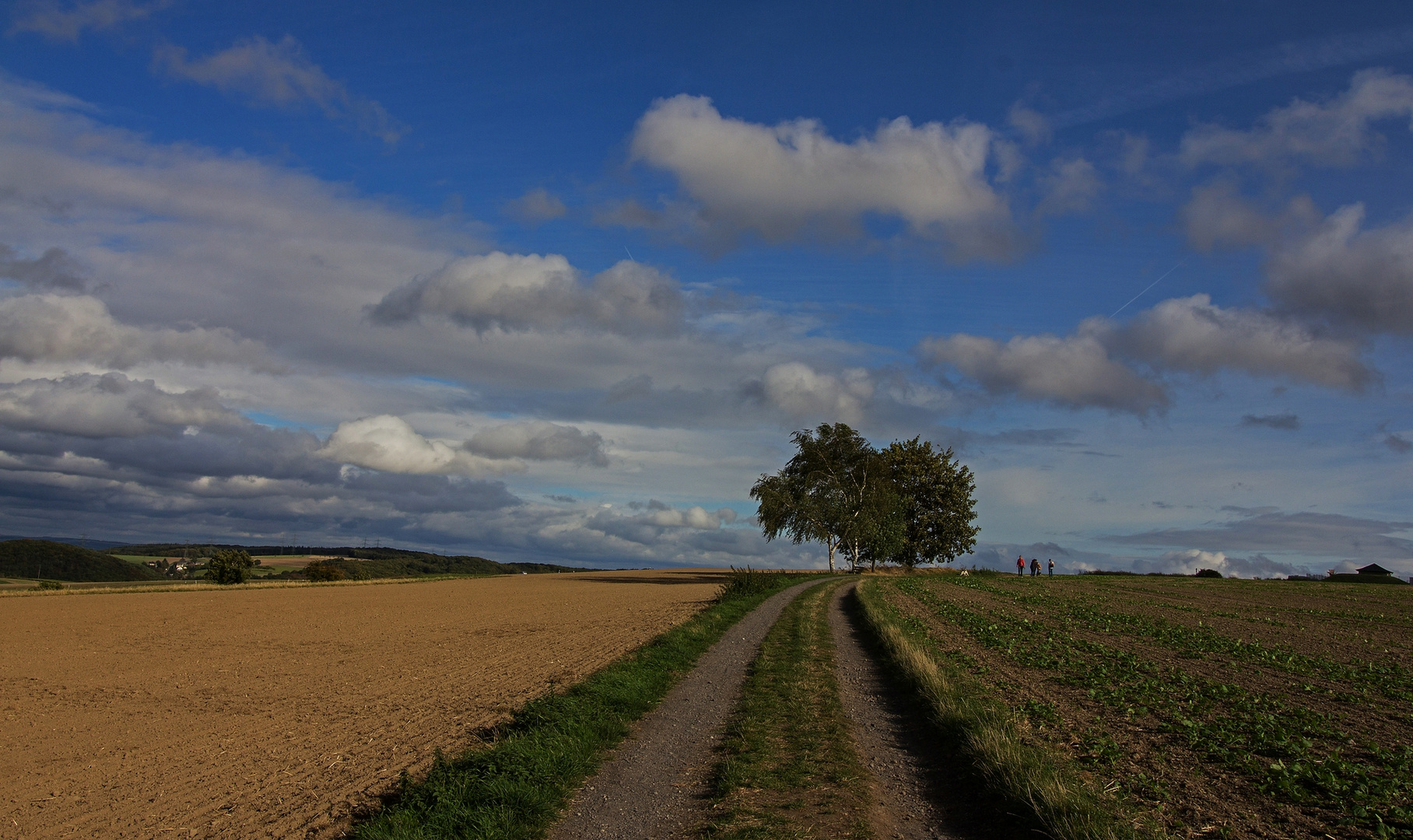 Unaufgeregte Landschaft