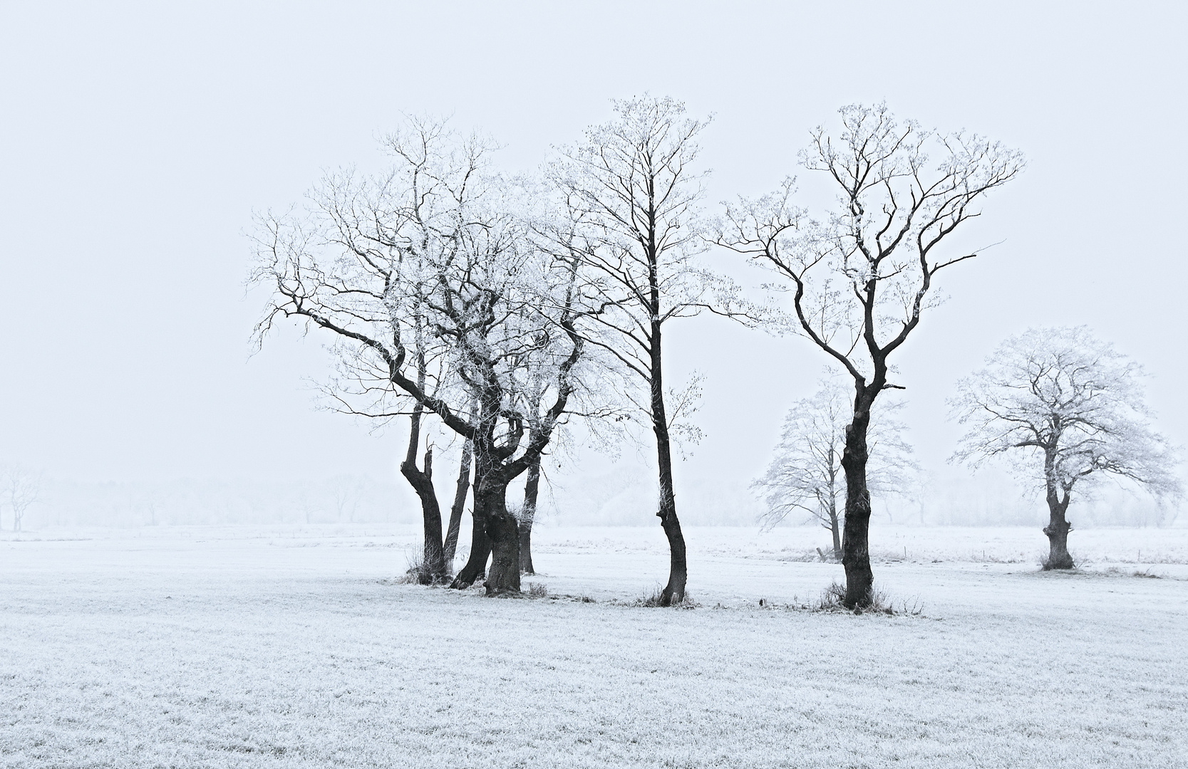 unaufgeregteswinterbildmitohnedramatik...