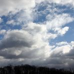 unbearbeitetes Orginal zur Wolkenkobra