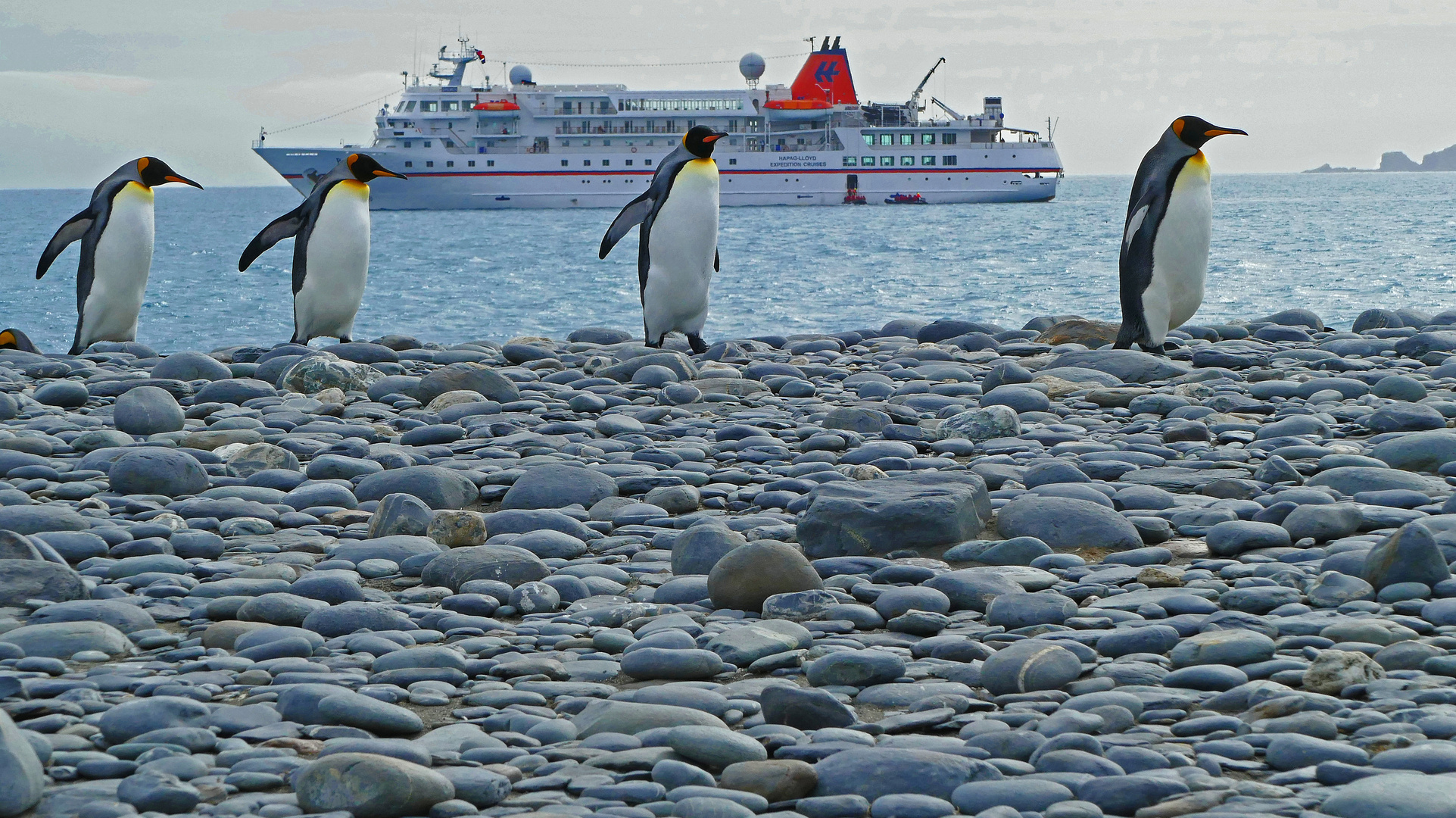 unbeeindruckt vom Besuch, die Herren im Frack