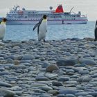 unbeeindruckt vom Besuch, die Herren im Frack