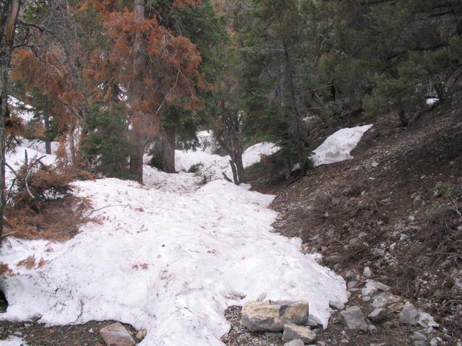 unbegehbarer Wanderweg wegen Schnee bei Las Vegas