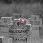 Unbekannt - Unknown