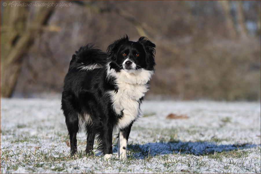 ... unbekannte kleine Lady...