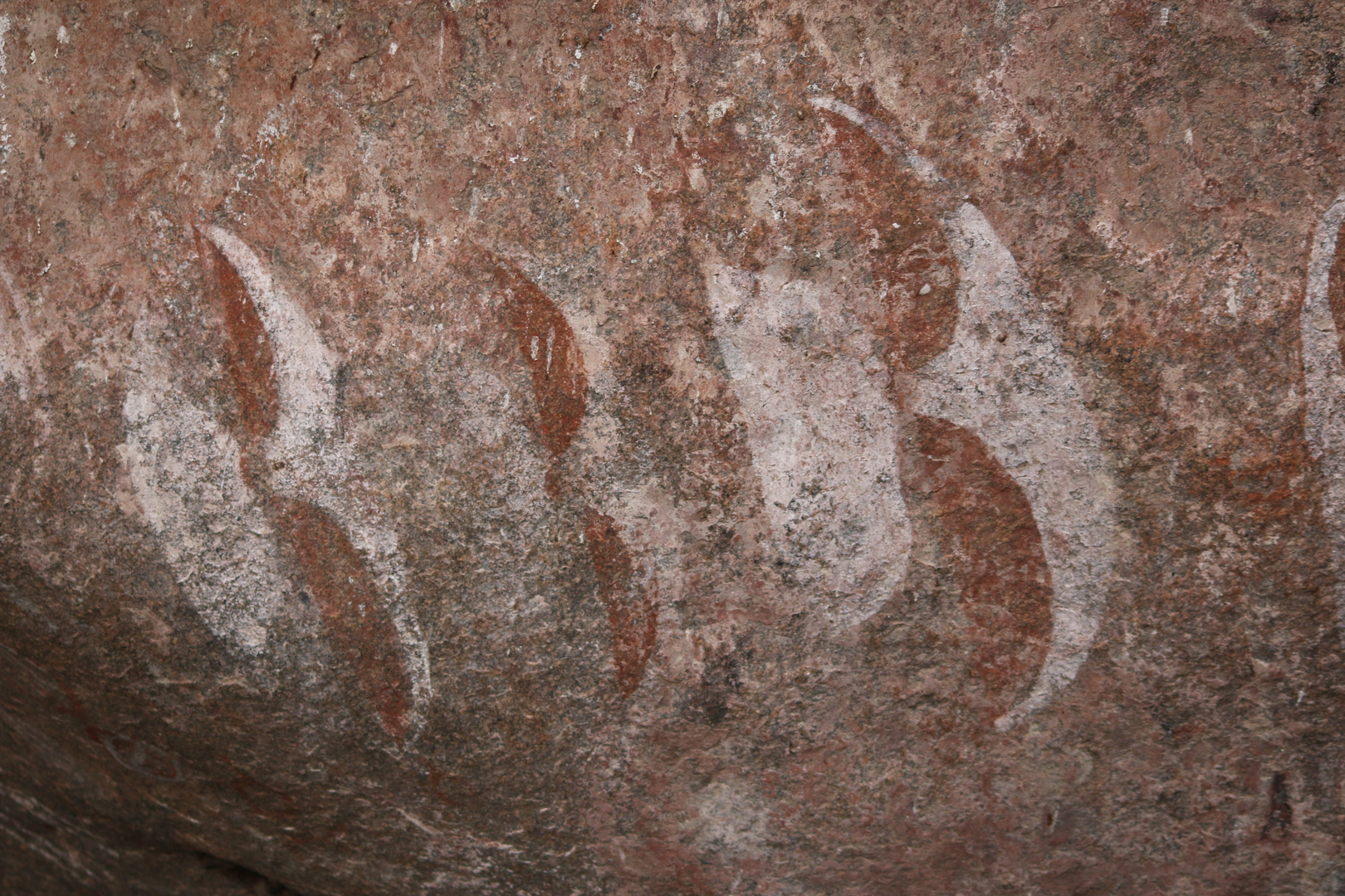 unbekannte Schätze der Serengeti