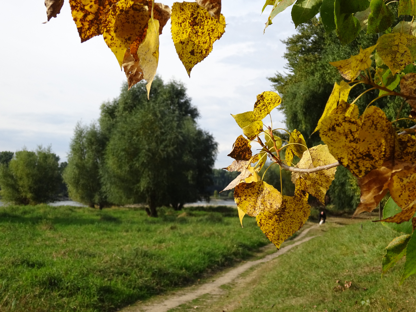 Unbekannte Wege gehen