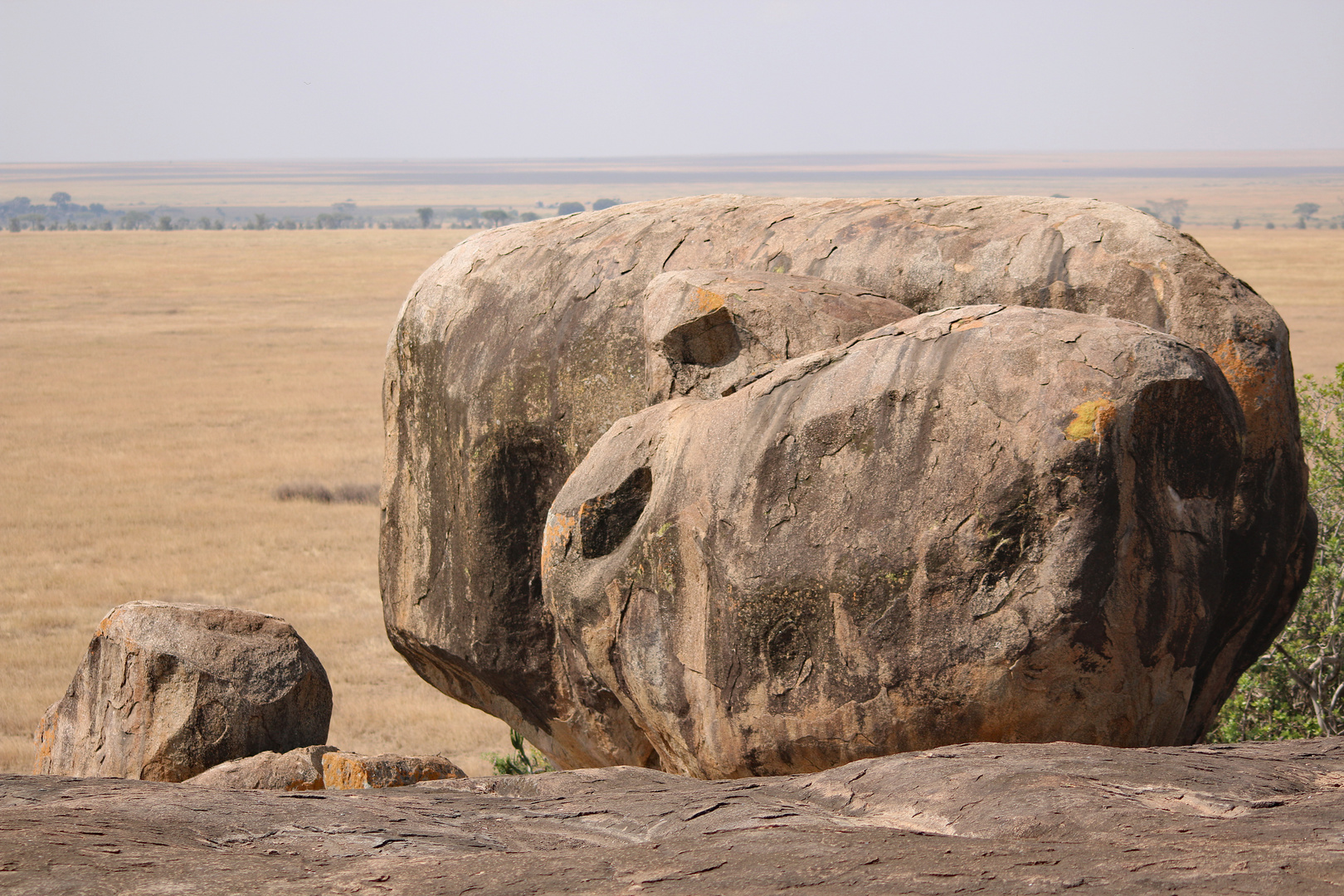 unbekannter Ort in der Serengeti 