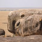 unbekannter Ort in der Serengeti 